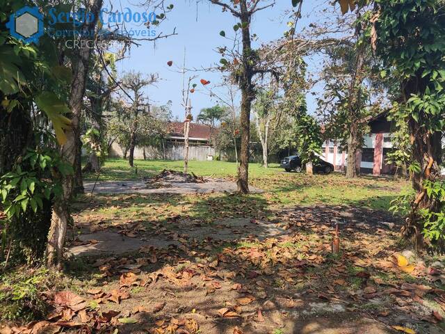 #2049 - Terreno para Venda em Itanhaém - SP - 3