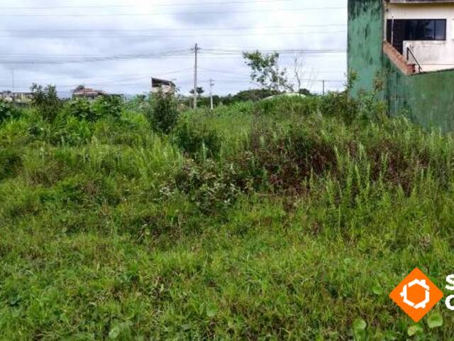 Terreno para Venda em Itanhaém - 1