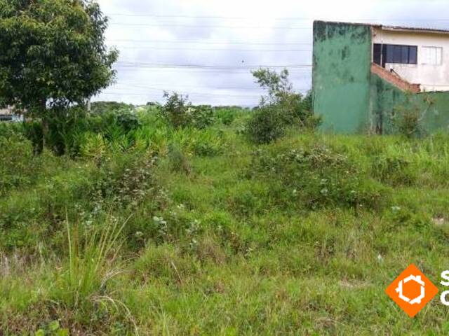 Terreno para Venda em Itanhaém - 2